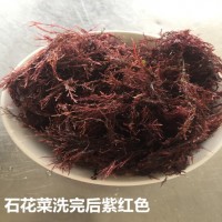 聚茗城500g青岛特产海凉粉冻菜石花菜海石花膏毛菜四果汤熬冻的菜岩衣