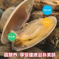 海味先生 青岛鲜活海鲜 花甲 蛤蜊 1000g 袋装